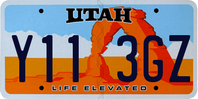 UT license plate Y113GZ