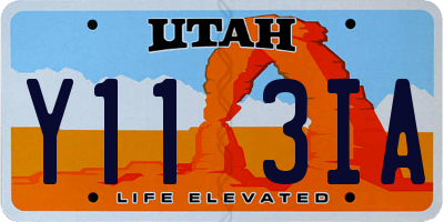 UT license plate Y113IA