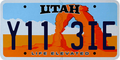 UT license plate Y113IE