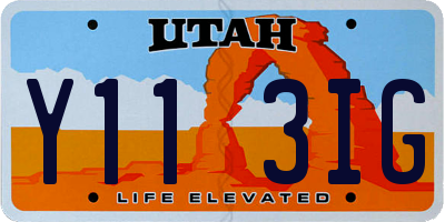 UT license plate Y113IG