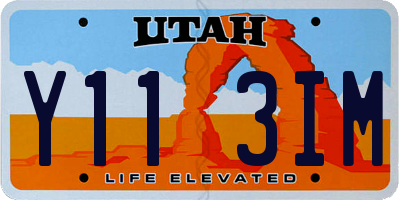 UT license plate Y113IM