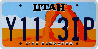 UT license plate Y113IP