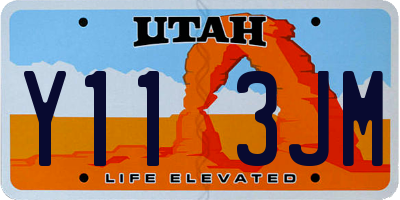 UT license plate Y113JM