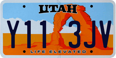 UT license plate Y113JV