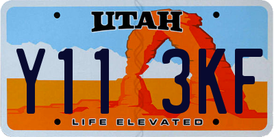 UT license plate Y113KF