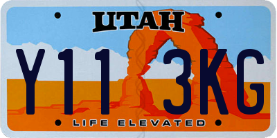 UT license plate Y113KG