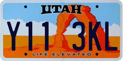 UT license plate Y113KL