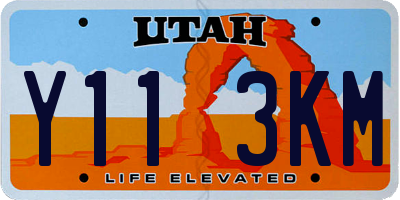 UT license plate Y113KM