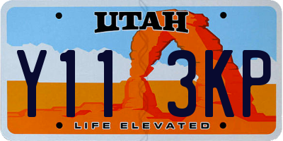 UT license plate Y113KP