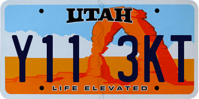 UT license plate Y113KT
