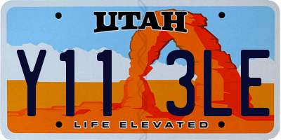 UT license plate Y113LE