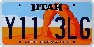 UT license plate Y113LG