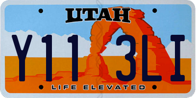 UT license plate Y113LI