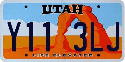 UT license plate Y113LJ