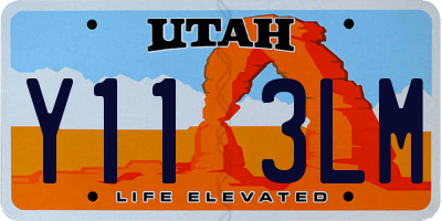 UT license plate Y113LM