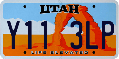 UT license plate Y113LP