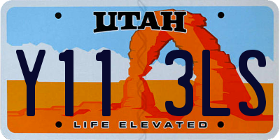 UT license plate Y113LS