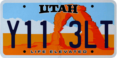 UT license plate Y113LT