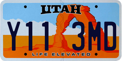 UT license plate Y113MD