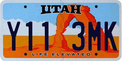 UT license plate Y113MK