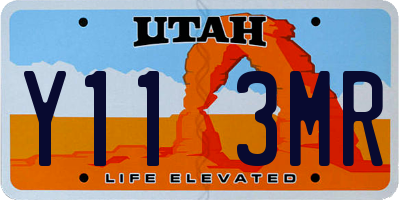 UT license plate Y113MR