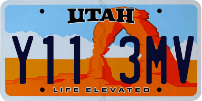 UT license plate Y113MV
