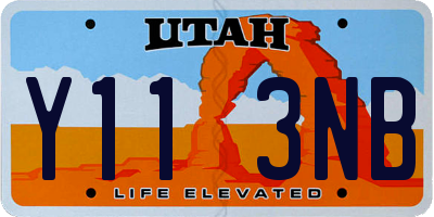 UT license plate Y113NB