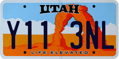 UT license plate Y113NL