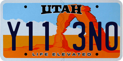 UT license plate Y113NO