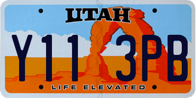 UT license plate Y113PB