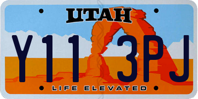 UT license plate Y113PJ