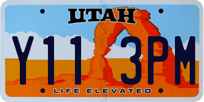 UT license plate Y113PM