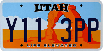 UT license plate Y113PP