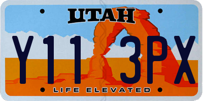 UT license plate Y113PX