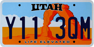 UT license plate Y113QM