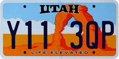 UT license plate Y113QP