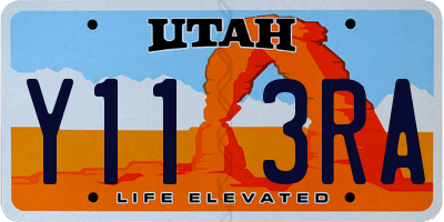 UT license plate Y113RA