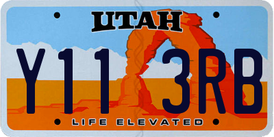 UT license plate Y113RB