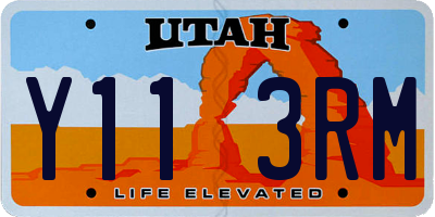 UT license plate Y113RM