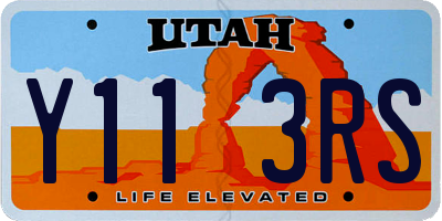 UT license plate Y113RS