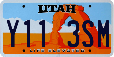 UT license plate Y113SM
