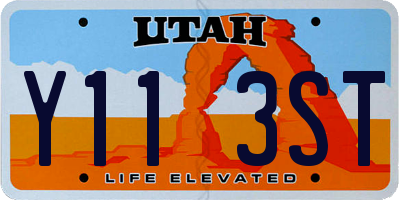 UT license plate Y113ST