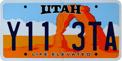 UT license plate Y113TA