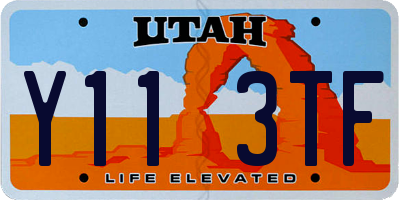 UT license plate Y113TF