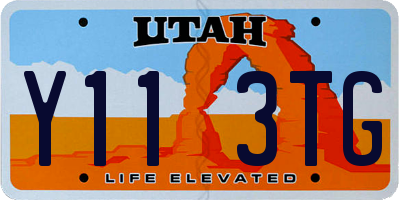 UT license plate Y113TG