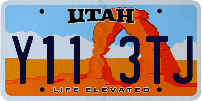 UT license plate Y113TJ