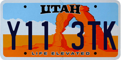 UT license plate Y113TK