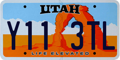 UT license plate Y113TL