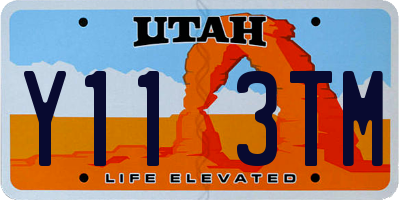 UT license plate Y113TM