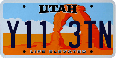 UT license plate Y113TN